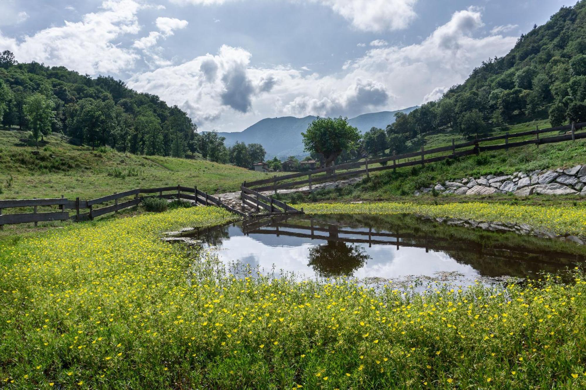 The River Nest Lasnigo Bagian luar foto